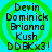 Four identical circular icons with green concentric rings on cyan background, each displaying stacked text names and 'DDBXx3!' in pixelated font.