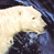 Animated contact sheet showing two polar bears on a blue background with CoolBuddy.com text in the top-right corner.