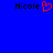 Blue background with two 'Nicole' text labels, one with a red pixelated heart symbol replacing the 'o' in the left label.