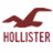 A pixelated maroon logo featuring a stylized bird in flight above the word 'HOLLISTER' rendered in blocky uppercase letters on a white background.