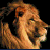 Pixelated lion head in profile view with open mouth, brown and tan fur tones on black background.