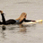 A pixelated image of a person lying on a surfboard in water, with bright green background and pink text overlays.