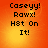 Pixelated text on an orange gradient background with four identical showing Caseyy! Rawx! Hst On It! in black font