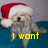A small dog wearing a red and white Santa hat appears in four with changing text overlays
