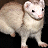 Pixelated image of a light-colored ferret standing against dark background, facing right with rounded ears and pink nose.