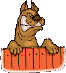 Brown cartoon dog with white teeth and brown nose peers over orange wooden fence, showing five distinct facial expressions
