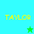 Pixelated yellow text "TAYLOR" appears on cyan and green backgrounds with a star symbol changing color between frames.