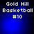 Blue background with white pixelated text reading "Gold Hill Basketball #10" in four identical arranged in a
