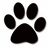 Black paw print icon with four toe pads and a large central pad on white background, showing slight variations in outline sharpness across observations.