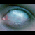A pixelated close-up of a single eye with light blue iris and dark green eyelashes, set against a muted gray background.