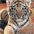 Animals icons for AIM, MSN, MySpace and Yahoo