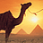 Pixelated camel silhouette against a gradient sunset sky with pyramids and a bird in the background.