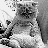 A black-and-white pixelated image of a cat with a flat expression, positioned next to text blocks reading "I might be fat... but you're ugly... and I can diet!" in a blocky font.