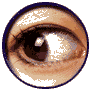 Four circular eye images with varying pixelation and coloration, arranged in a , each showing different eye states and visual artifacts