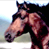 A 2x2 contact sheet of a horse animation with visible text on the right side, showing two distinct frames of the same horse head against different backgrounds.