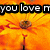 orange flowers with partial text 'you love me' in black block letters, showing sequential pixel changes across frames