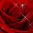 A static image of a red rose with dark red and black gradients, featuring pixelated highlights and a swirling petal pattern.