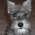 Pixelated dog face with blue eyes and white muzzle next to text blocks reading Aww So cute Thats Sadie on a dark background.