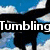 A static collage of four sports-themed buddy icons with text overlays, featuring tumbling, softball, volleyball, and "Sports are my LIFE!" text.