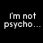 Black background with white pixelated text reading "I'm not psycho..." on the left and "I just like psychotic things." on the right.