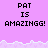 Pixelated text on a purple background with white wave-like border, showing 'PAT IS AMAZINGG!' repeated across multiple sections.