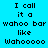 Four pixelated text display identical phrases on distinct background colors: cyan, teal, brown, and green