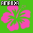 Two side-by-side pixel art images display the name "AMANDA" above a hibiscus flower with inverted color schemes.