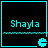 Four cyan-outlined squares display "Shayla" text with a cyan underline and small cyan icon, each square showing identical static content.