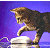 A pixelated cat icon with a green text logo on the right side, displayed as a contact sheet of two frames showing slight motion differences.