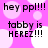 Pixelated text on a pink background with white circles, repeating 'hey ppl!!! tabby is HEREZ!!!' in four identical quadrants.