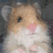 A pixelated hamster image with blue text overlays reading 'R.I.P. Hammi' and 'We'll Miss You!' in a