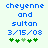 Blue pixelated text reads 'cheyenne and sultan 3/15/08' above green four-leaf clover icons on a light background.
