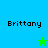 Four display the name "Brittany" with a star icon changing from green to blue on a split background