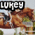 A pixelated image of a horse and rider with text overlays reading 'LUKEY' and 'horsies!' on the left, and a dark horse head with 'LUFFS' on the right.