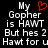 Pixelated text displays 'My Gopher is HAWT But hes 2 Hawt for u' with a red heart symbol above the first 'My'.