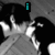 A grayscale anime-style image of two figures in a close embrace, with cyan text overlays changing across frames.
