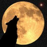 Silhouette of a wolf howling at a large full moon with visible lunar surface details and a small star in the background, set against a dark night sky.