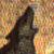 buddysite-05589