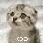 Pixelated image of a light brown animal with dark eyes and nose, holding up one paw in front of its face against a gray background.