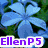 Animated sequence showing a blue flower, heart-shaped sunset, and three people with text overlays.