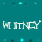Pixelated teal background with scattered light blue and dark blue squares, featuring the word 'WHITNEY' in large white pixelated letters.