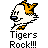 Pixelated cartoon tiger head with orange mane, white face, blue eye stripe, and black outlines on gray background; text below reads 'Tigers Rock!!!'