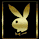 Pixelated static icon of a rabbit head logo with golden-yellow tones on black background, framed by brown border.