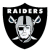 Black shield-shaped icon with white pixelated text "RAIDERS" at top, silver skull with black eye patch and crossed swords below.