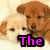 Four quadrants display puppy images with pink text: top-left 'The', top-right 'Doggie', bottom-left 'Club', bottom-right empty.
