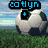 Pixelated soccer ball icon with blue text 'co tlyn' above, green grass background under a light blue sky.