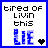 Two side-by-side pixelated text with 'tired of livin this' above blue 'LIE' and a heart symbol, differing only in border color and heart fill