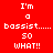Red background with white text reading "I'm a bassist..... so WHAT!!" in pixelated font, alternating blue and red rectangular blocks behind the text.