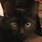 A pixelated close-up of a dark-furred animal's face with large eyes and visible ears, set against a blurred background.