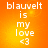 Four identical orange gradient display white text reading 'blauvelt is my love <3' with pixelated font